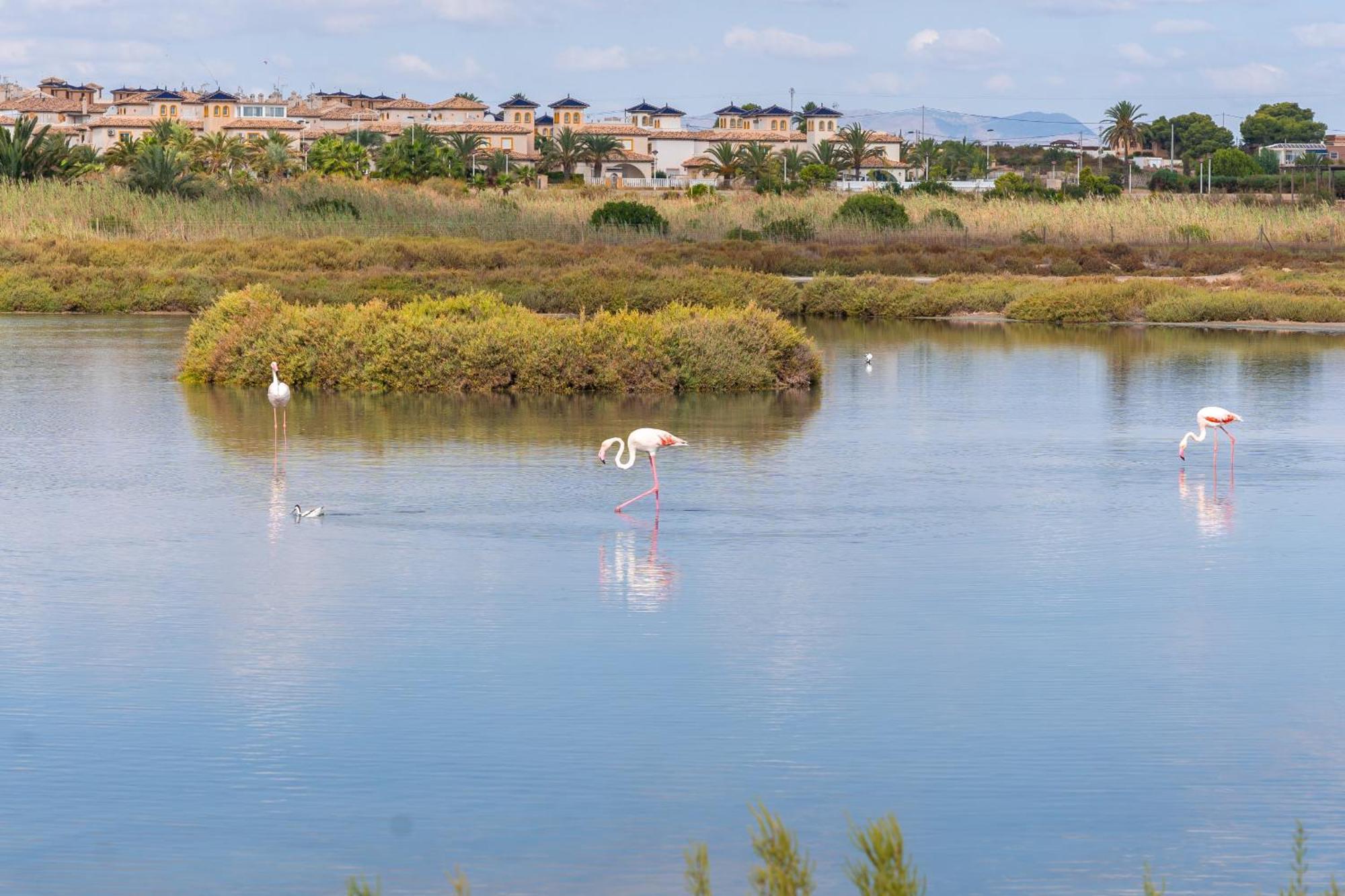 Menabrea Holiday House Near The Beach And Airport Santa Pola Exteriér fotografie